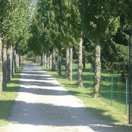 Allee Des Peupliers Panzió Chevigny Kültér fotó