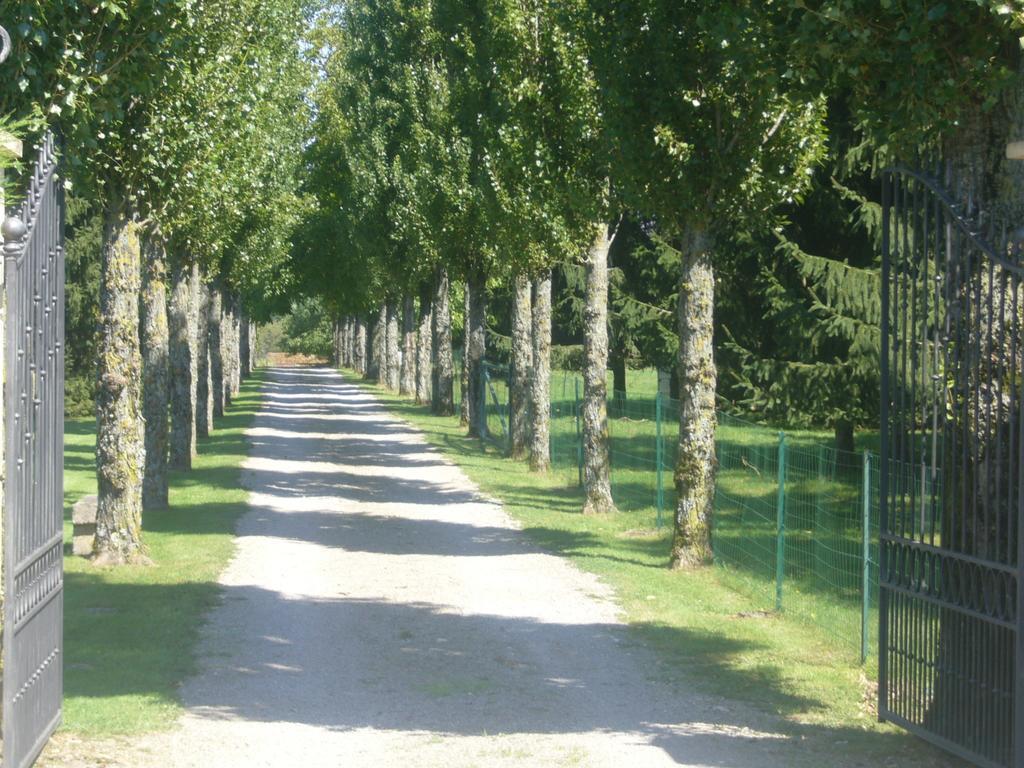 Allee Des Peupliers Panzió Chevigny Kültér fotó